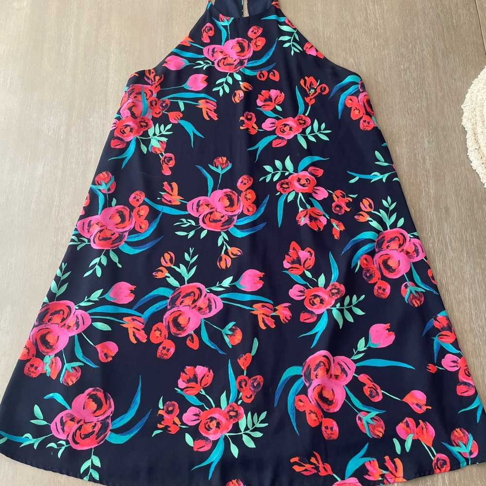 Everly Navy Dress with Red and Green Floral Design